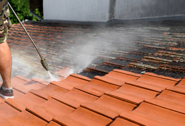 Best Pressure Washing Services for Businesses  in Brandenburg, KY