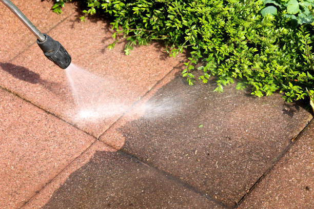 Best House Pressure Washing  in Brandenburg, KY